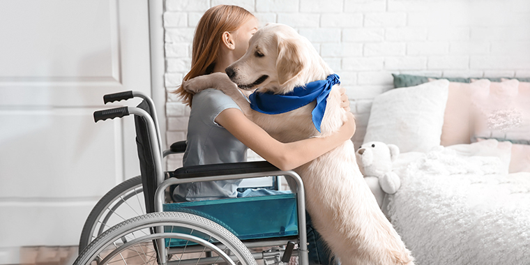 What Is The Best Service Dog Registry